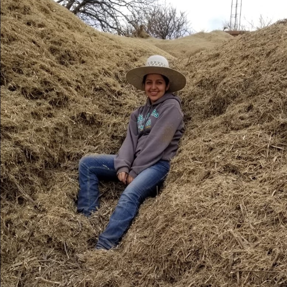Meet your Posher, Alondraalondra
